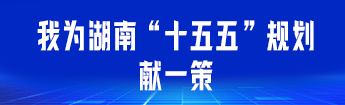 我为湖南“十五五”规划献一策