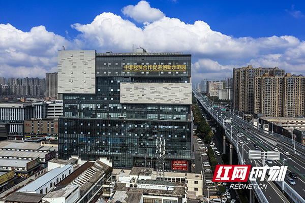 从咖啡到鲜花，探路中非经贸的共赢密码