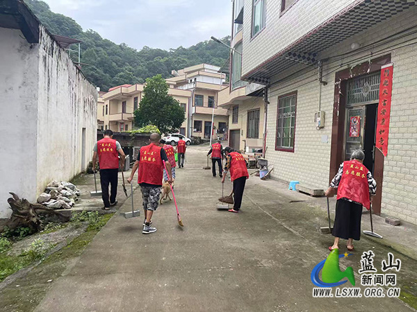 祠堂圩镇八联村开展卫生大扫除活动.jpg
