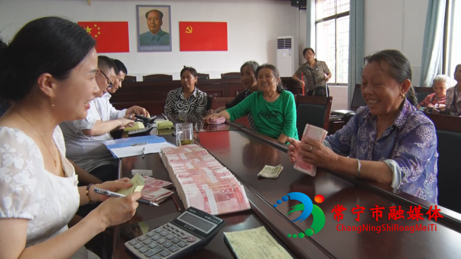 茶叶分红2.jpg