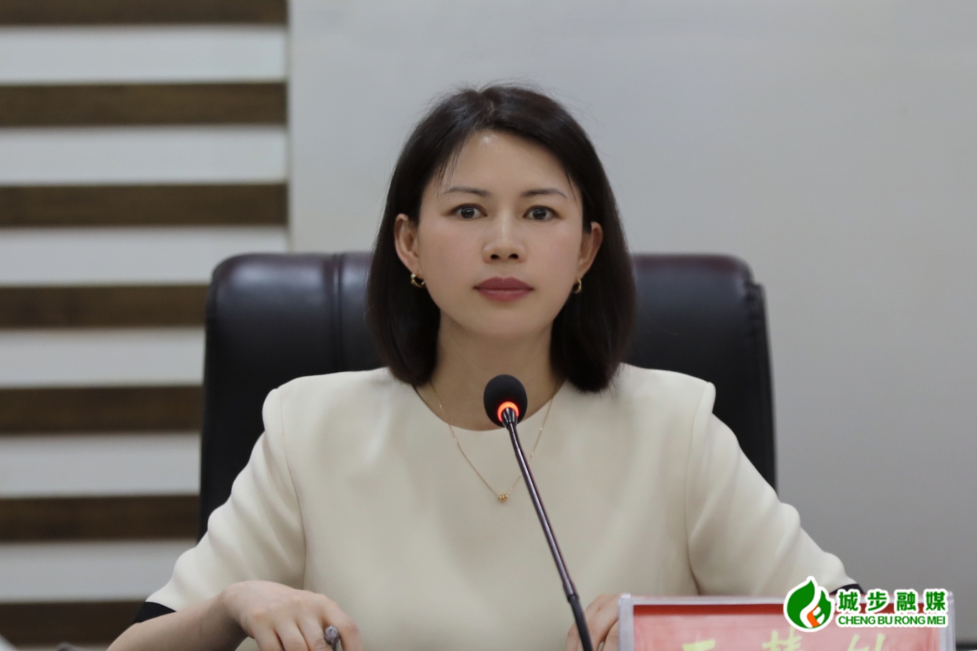 城步召开2025年第11次县委常委会会议(图2)