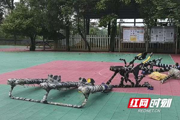 微信图片_20250613000318_副本.jpg