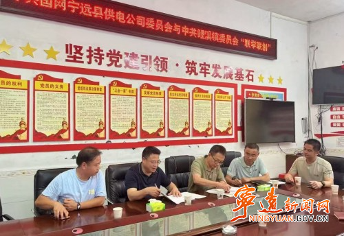 国网宁远县供电公司党委与鲤溪镇党委开展“联学联创”活动_副本500.jpg