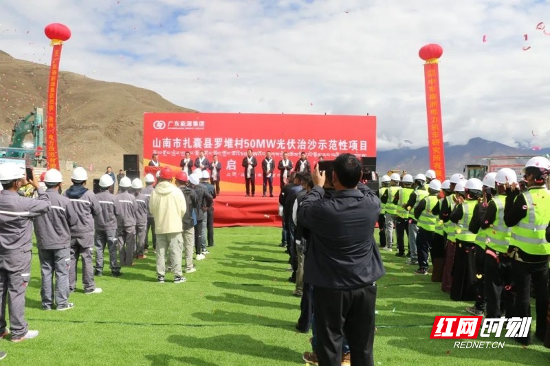 f11caf4c-2348-456b-a235-631fb6158d60.jpg