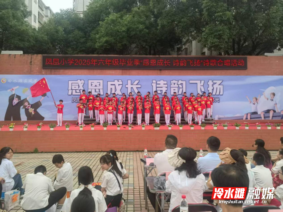 图片33331.png