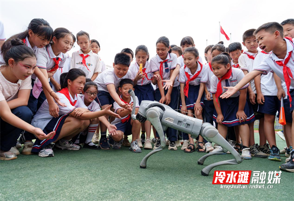 图片A21_副本.png