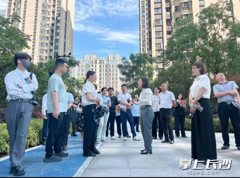 活动现场。均为通讯员供图