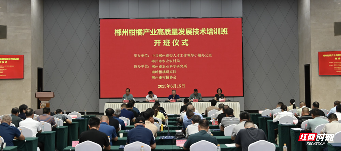 微信图片_20250616123953_副本.jpg