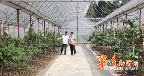 宁远：生态种植结硕果 农旅融合谱新篇2_副本500.png