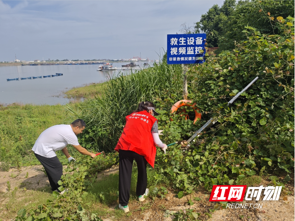 微信截图_20250616180233.png