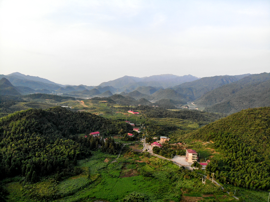 DJI_0336_副本.jpg
