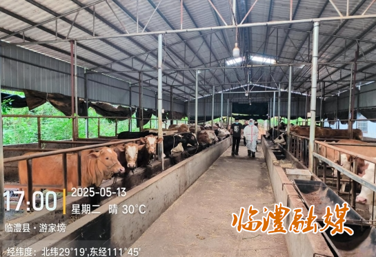 微信截图_20250617152145.png