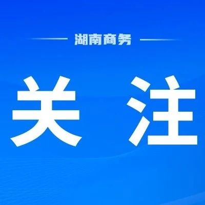 第四届中非经贸博览会——央视网专访湖南省商务厅副厅长郭宁（二）