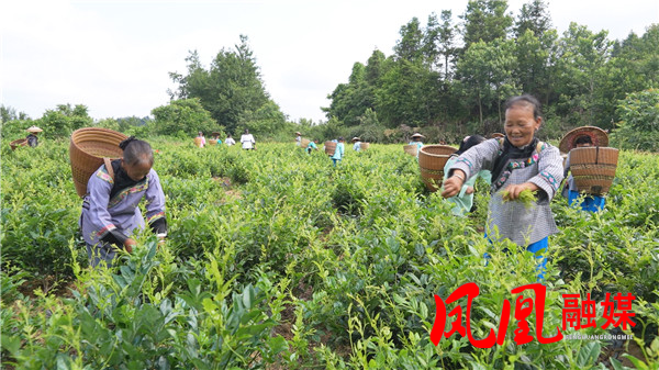 Still0617_00107.jpg Still0617_00107.jpg