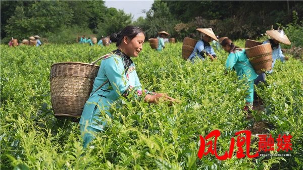 Still0617_00115.jpg Still0617_00115.jpg