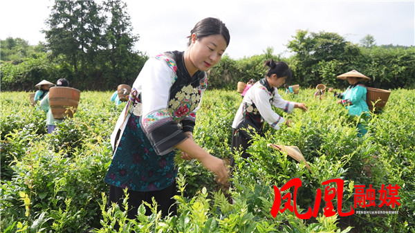 Still0617_00102.jpg Still0617_00102.jpg