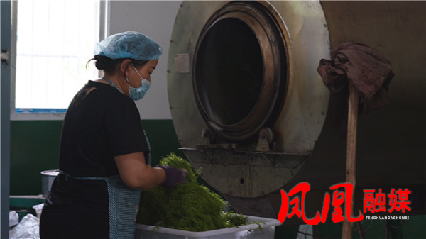 Still0617_00130.jpg Still0617_00130.jpg