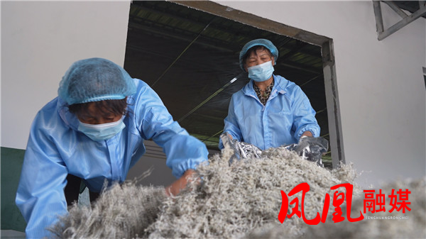 Still0617_00133.jpg Still0617_00133.jpg