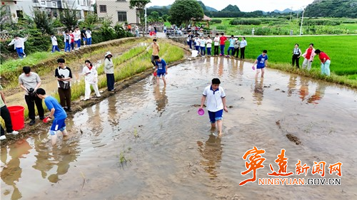湖南师大附中学子在宁远开展研学2_副本_副本_副本500.jpg