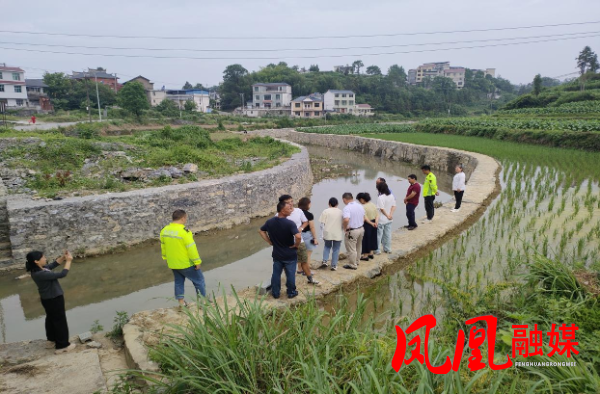 图片4茶田镇人大代表对茶田河道进行巡查.png