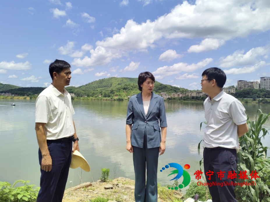 0618邓艳红到水口山镇巡河并调研防汛抗旱工作.jpg