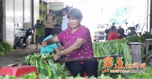 宁远：烤烟丰收季 烟农“赶烤”忙2_副本500.png