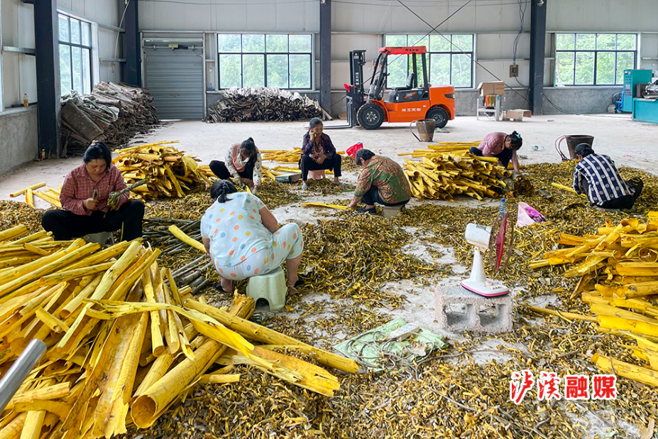 微信图片_20250619112832.jpg 微信图片_20250619112832.jpg