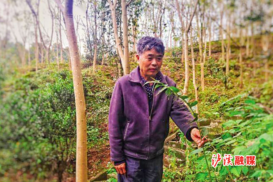 微信图片_20250619113107.jpg 微信图片_20250619113107.jpg