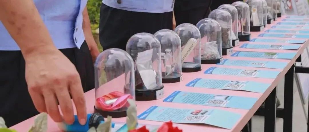 国家禁毒办发布2024年以来侦破毒品案件十大典型案例