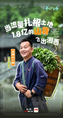 1.8亿山货飞出湘西