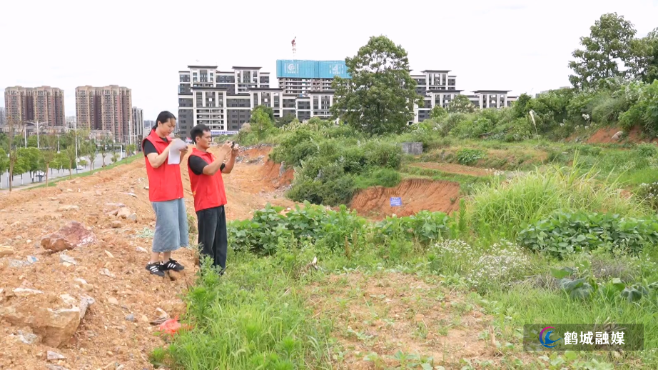 城南街道：“走找想促”见实效 绘就城乡蝶变新画卷（半成品）.mp4_20250620_163120.346.jpg