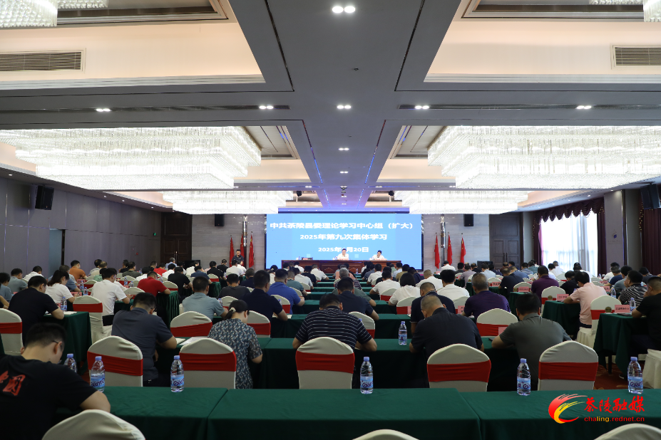 OXbSsuV731oA.jpg