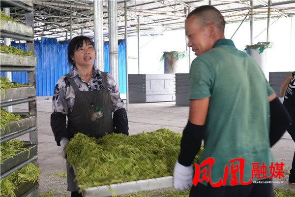 DSC05065_副本.jpg