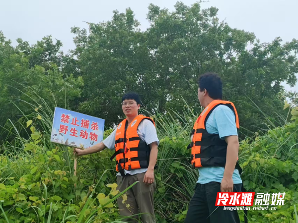 图片33331.png