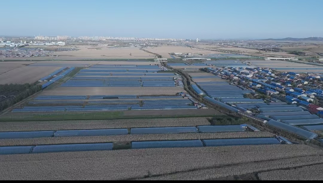 中国高质量发展的看法