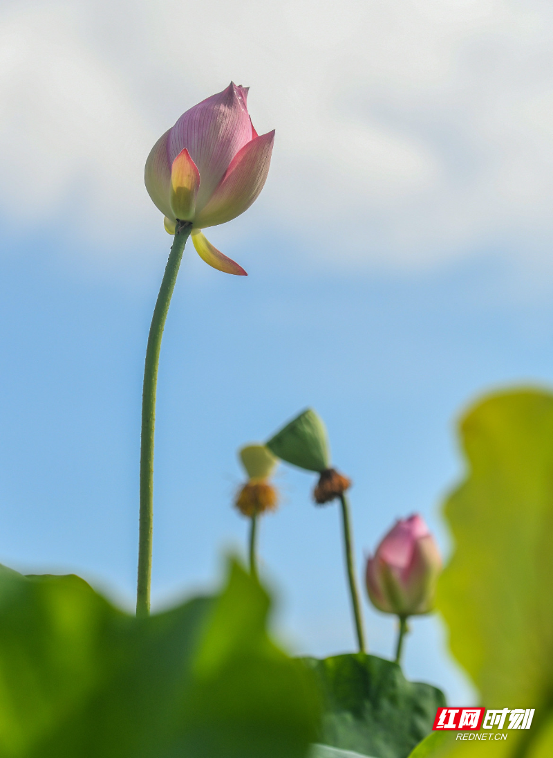 DSC_8264 拷贝.jpg
