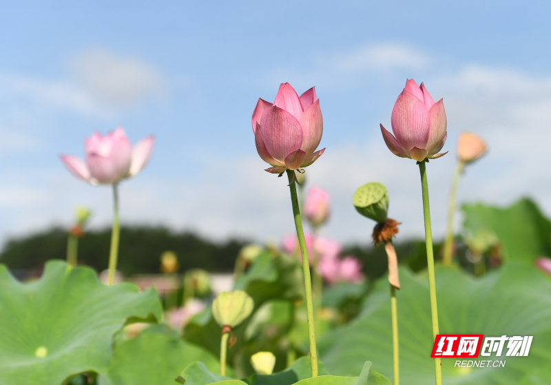 DSC_8321 拷贝.jpg