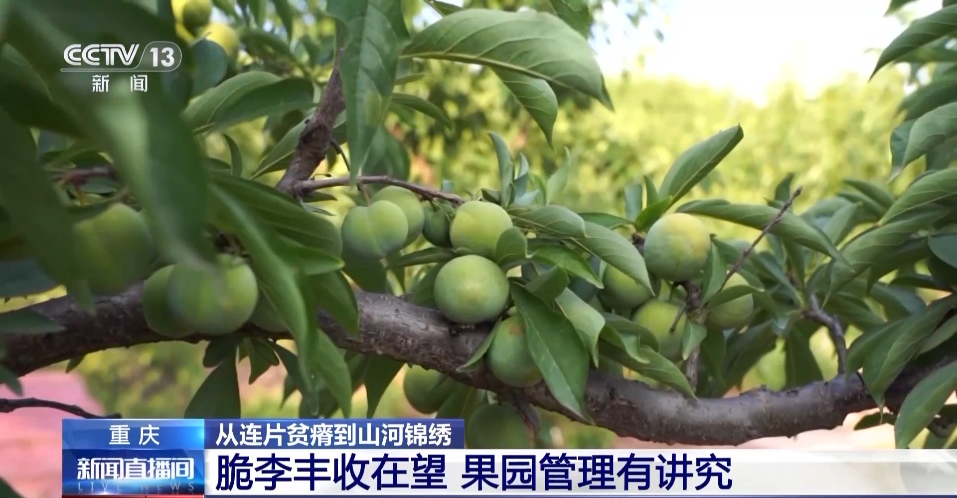 从连续的贫困到美丽的山脉和河流，这些地方依