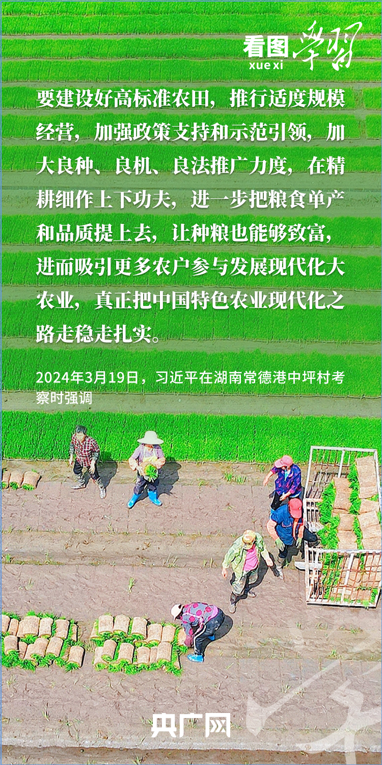 通过查看图片来找出答案|收获在“三个夏天”中