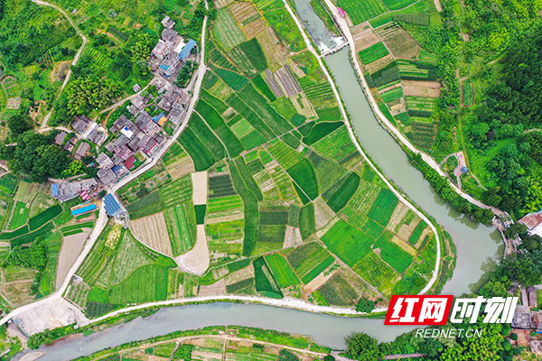 DJI_0381.jpg