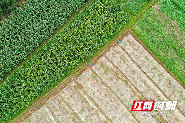 DJI_0369.jpg