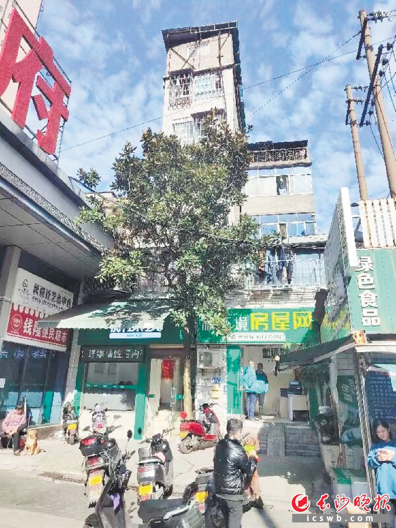 　　沙湖片区重建前房屋加层现象严重。