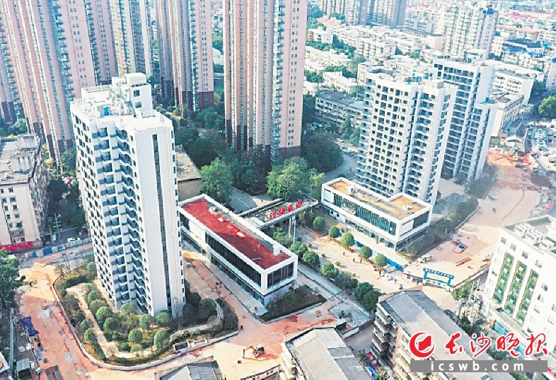 　　沙湖片区重建后焕然一新。均由天剑社区供图