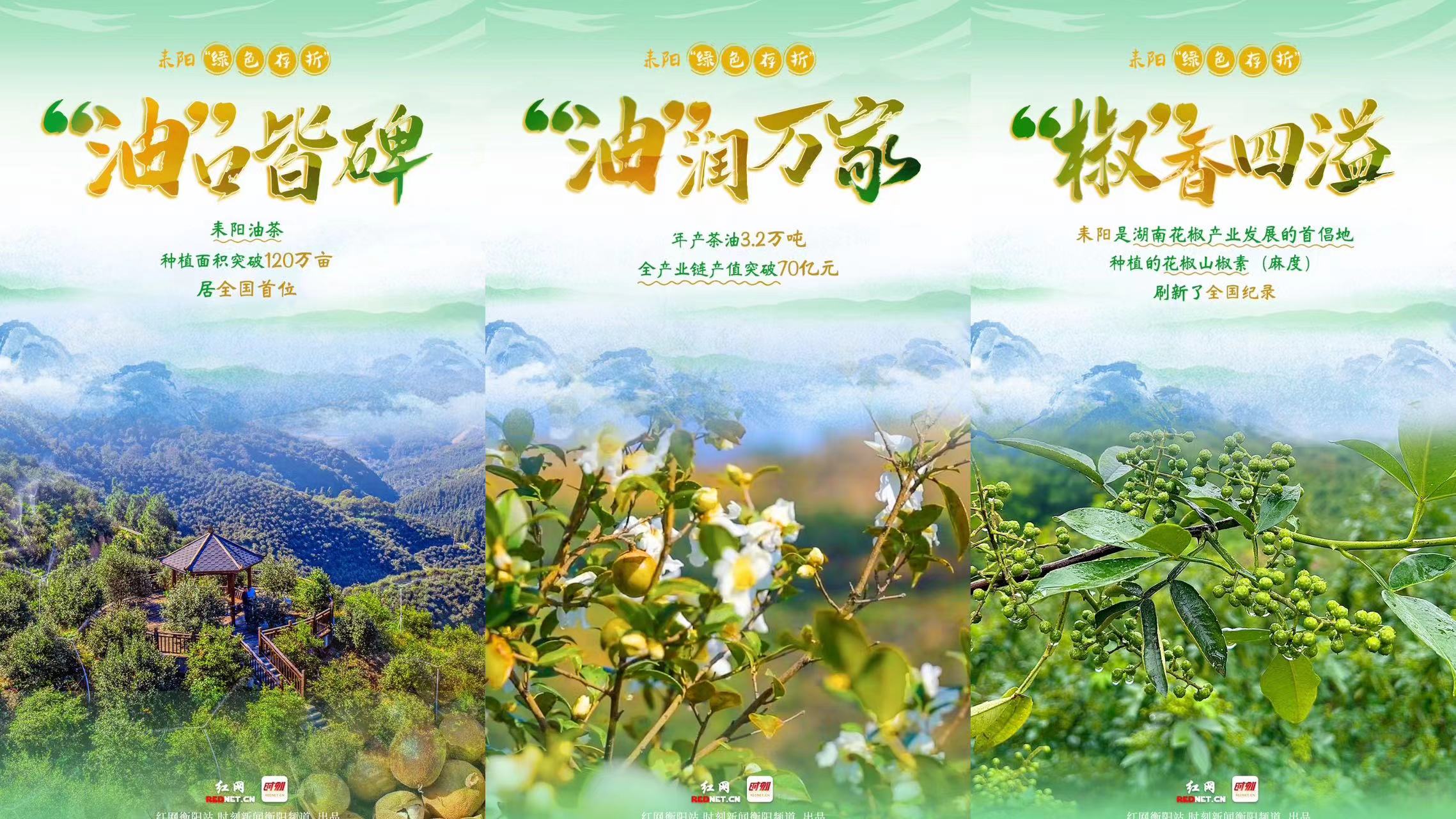 海报 | 草木生金处 耒阳正青春