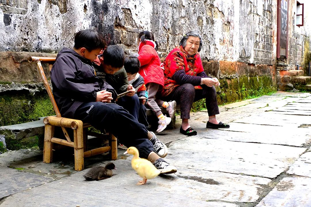 DSCF8181.JPG