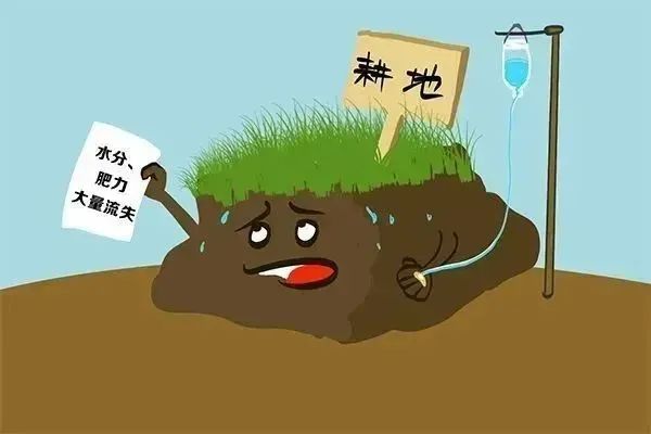 耕地.jpg