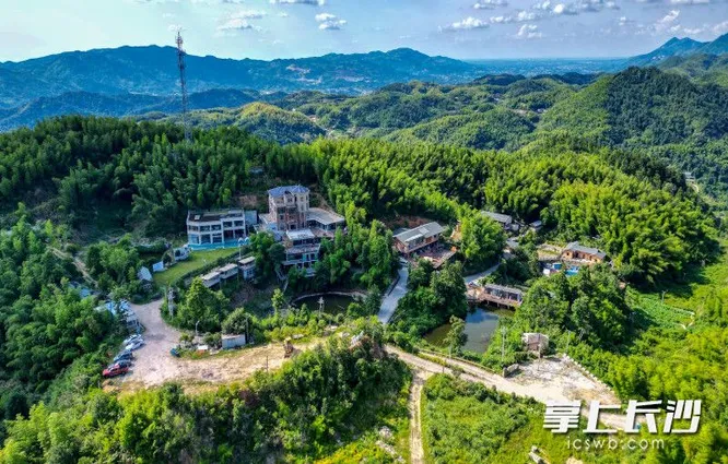 从“人去山空”到“客满山谷”，黑麋峰“新村民”唤醒沉睡山谷