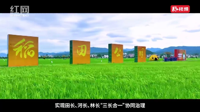 6.25全国土地日 守护沃土向未来
