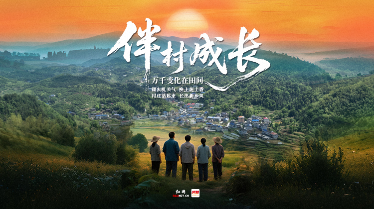 专题丨伴村成长——万千变化在田间