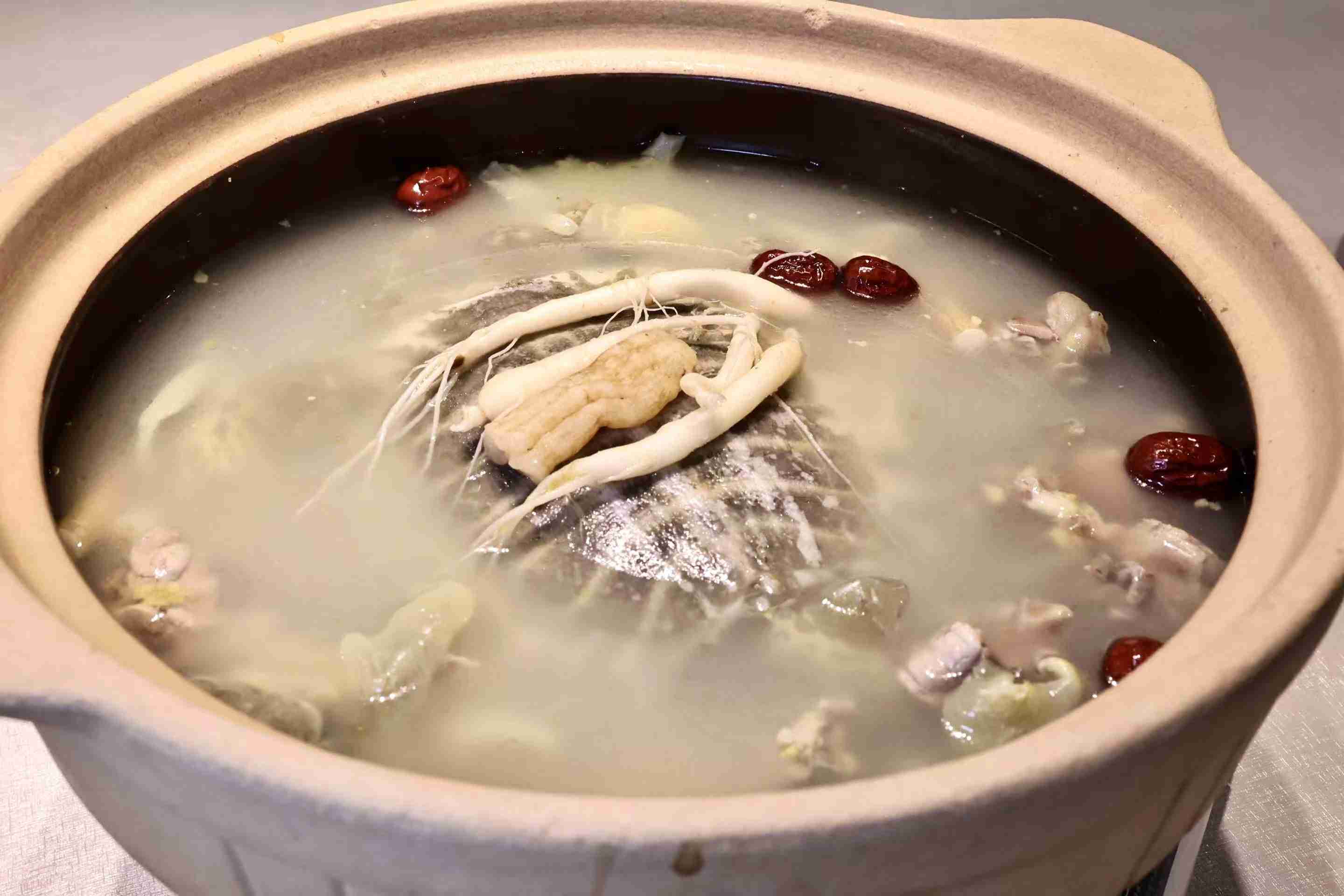 藥膳甲魚。謝語欣攝